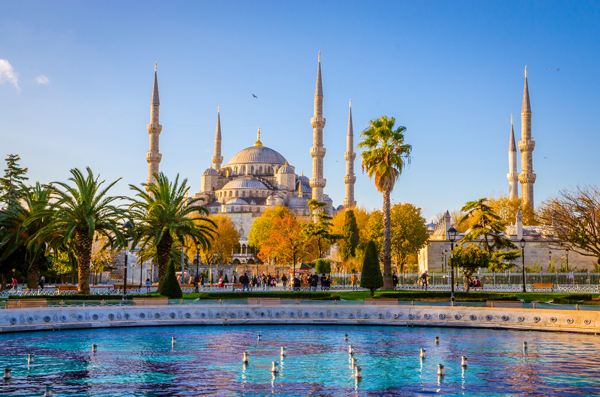 mosquée palmiers a istanbul